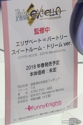 ワンダーフェスティバル 2018［冬］アオシマブース特集画像04