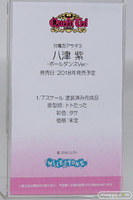 ワンダーフェスティバル 2018［冬］マイルストン　エンブレイスジャパン　ブース特集画像31