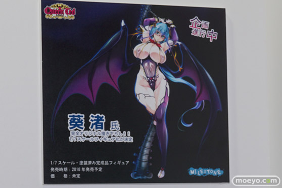 ワンダーフェスティバル 2018［冬］マイルストン　エンブレイスジャパン　ブース特集画像33