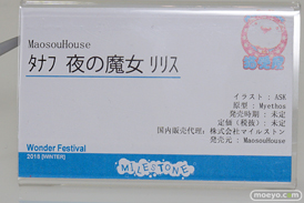 ワンダーフェスティバル 2018［冬］マイルストン　エンブレイスジャパン　ブース特集画像45