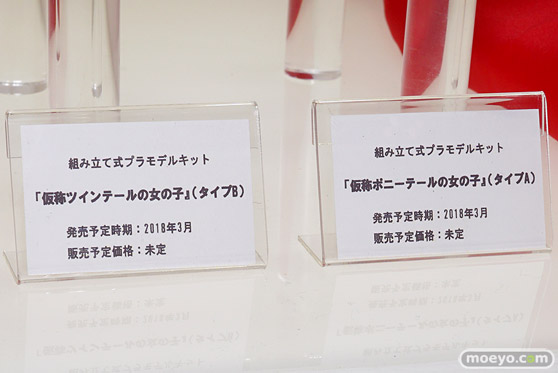 ワンダーフェスティバル 2018［冬］マイルストン　エンブレイスジャパン　ブース特集画像50