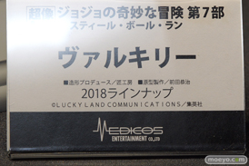 ワンダーフェスティバル 2018［冬］メディコスエンタテイメントブース特集画像13