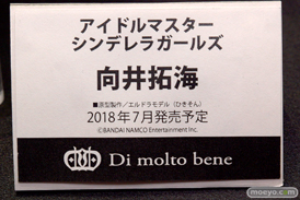 ワンダーフェスティバル 2018［冬］メディコスエンタテイメントブース特集画像22