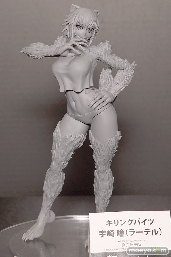 ワンダーフェスティバル 2018［冬］メディコスエンタテイメントブース特集画像27