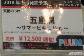 ワンダーフェスティバル 2018［冬］プラムブース特集画像13