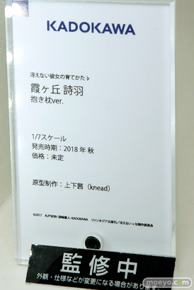 KADOKAWAの冴えない彼女の育てかた♭　霧ヶ丘詩羽 抱き枕ver.の新作フィギュア彩色サンプル画像11