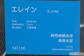 ネイティブのエレインの新作アダルトフィギュア原型画像15