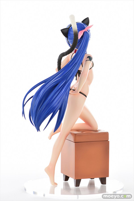 オルカトイズのFAIRY TAIL ウェンディ・マーベル・黒猫Gravure_Styleの新作フィギュア彩色サンプル画像28