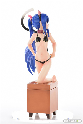 オルカトイズのFAIRY TAIL ウェンディ・マーベル・黒猫Gravure_Styleの新作フィギュア彩色サンプル画像31