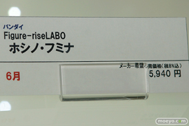 宮沢模型 第41回 商売繁盛セール 新作フィギュア展示の様子　バンダイ　プラム　ウェーブ　グッドスマイルカンパニー　ビート　アオシマ　エイプラス04
