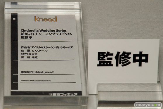 宮沢模型 第41回 商売繁盛セール 新作フィギュア展示の様子　アゾン　アルファマックス　ドラゴントイ　東京フィギュア　クルシマ　アイズ　プルーヴィー　メガハウス　アルゴ舎　アルカディア　メディコス　豆魚雷25