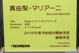 プログレスのPeach メイドフィギュアシリーズ　真由梨・マリアーニの新作フィギュア原型画像13