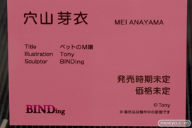 BINDingのペットのM嬢 穴山芽衣の新作フィギュア原型画像11