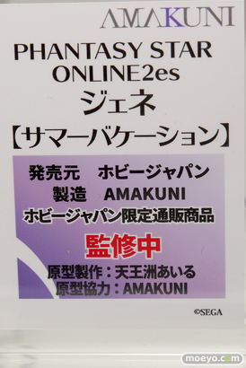 ホビージャパンのPHANTASY STER ONLINE2es ジェネ【サマーバケーション】の新作フィギュア原型画像10