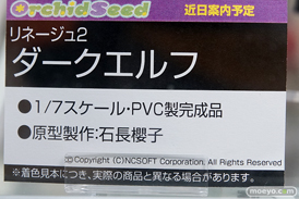 秋葉原の新作フィギュア展示の様子17