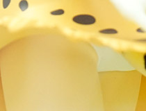 KADOKAWA新作フィギュア「けものフレンズ サーバル」PVCサンプルが展示！