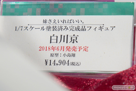 秋葉原の新作フィギュア展示の様子17