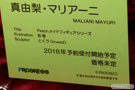 ネイティブ グループ合同展示会 エロホビ　新作フィギュア展示の様子34