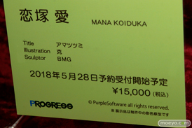 ネイティブ グループ合同展示会 エロホビ　新作フィギュア展示の様子37