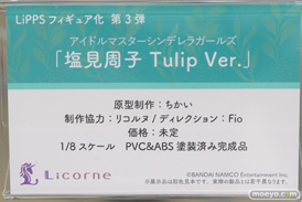 秋葉原の新作フィギュア展示の様子05
