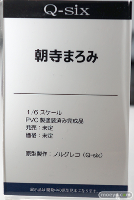 ワンダーフェスティバル 2018［夏］　Q-six22