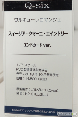 ワンダーフェスティバル 2018［夏］　Q-six48