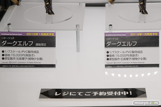 ワンダーフェスティバル 2018［夏］　オーキッドシード23