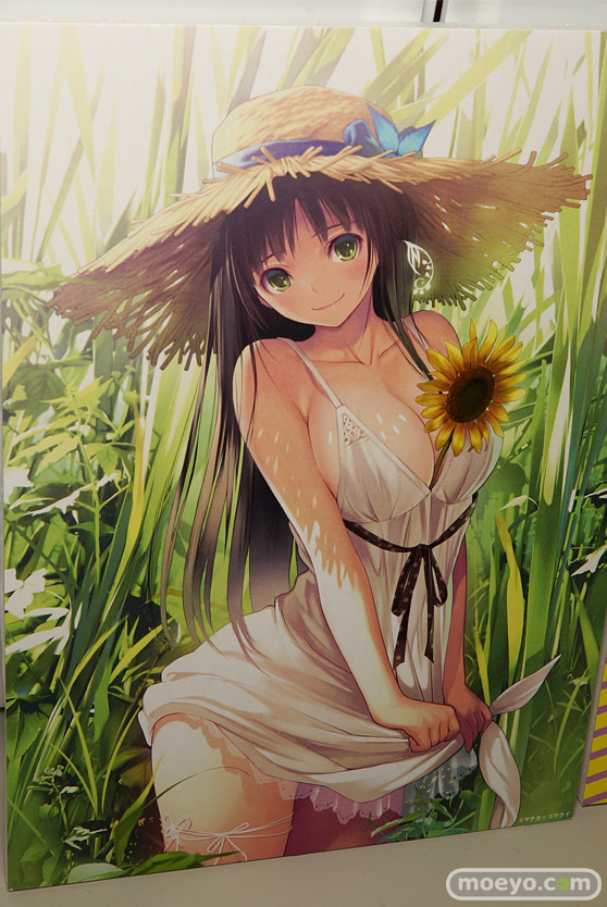 ワンダーフェスティバル 2018［夏］　ダイキ工業12