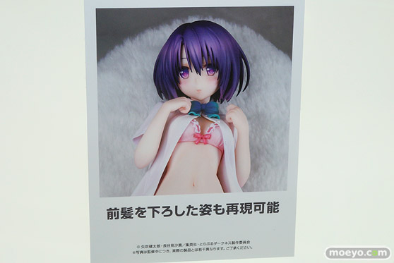 ワンダーフェスティバル 2018［夏］　アルター06