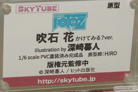 ワンダーフェスティバル 2018［夏］　アルファマックス　スカイチューブ17