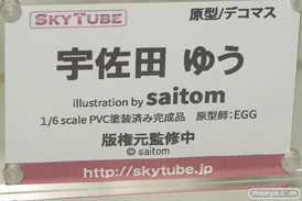 ワンダーフェスティバル 2018［夏］　アルファマックス　スカイチューブ21