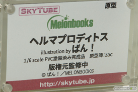 ワンダーフェスティバル 2018［夏］　アルファマックス　スカイチューブ42
