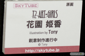 ワンダーフェスティバル 2018［夏］　アルファマックス　スカイチューブ48