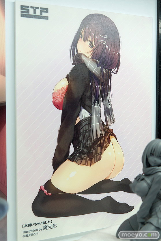 ワンダーフェスティバル 2018［夏］　スカイチューブプレミアム　STP03