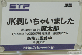 ワンダーフェスティバル 2018［夏］　スカイチューブプレミアム　STP04