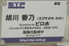 ワンダーフェスティバル 2018［夏］　スカイチューブプレミアム　STP08