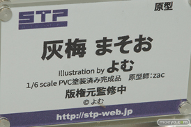 ワンダーフェスティバル 2018［夏］　スカイチューブプレミアム　STP12