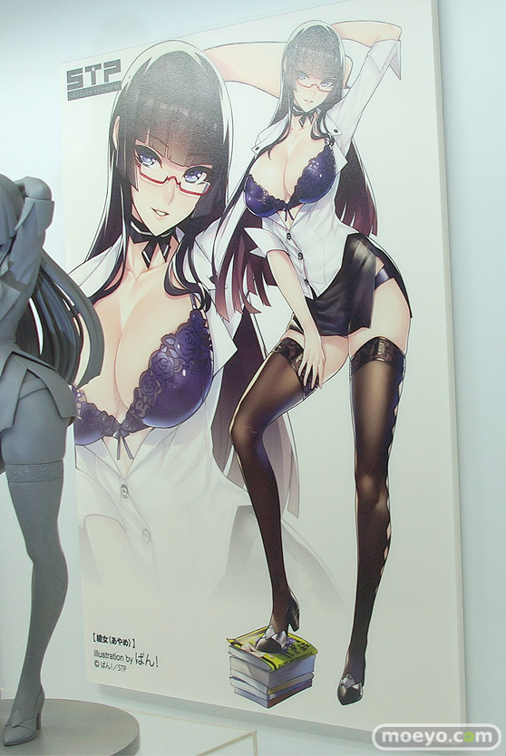 ワンダーフェスティバル 2018［夏］　スカイチューブプレミアム　STP18