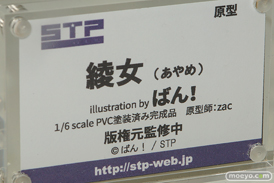 ワンダーフェスティバル 2018［夏］　スカイチューブプレミアム　STP19