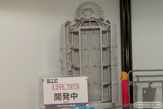 ワンダーフェスティバル 2018［夏］　スカイチューブプレミアム　STP23