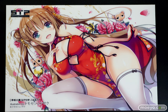 ワンダーフェスティバル 2018［夏］　スカイチューブプレミアム　STP26