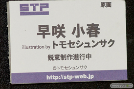 ワンダーフェスティバル 2018［夏］　スカイチューブプレミアム　STP27