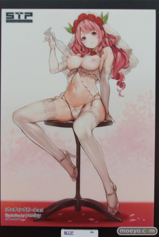 ワンダーフェスティバル 2018［夏］　スカイチューブプレミアム　STP28