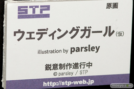 ワンダーフェスティバル 2018［夏］　スカイチューブプレミアム　STP29