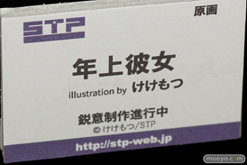 ワンダーフェスティバル 2018［夏］　スカイチューブプレミアム　STP31