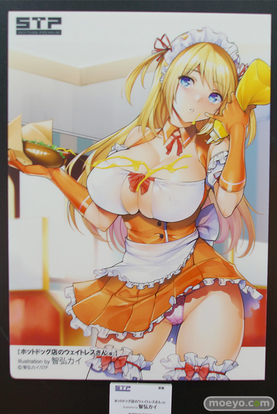 ワンダーフェスティバル 2018［夏］　スカイチューブプレミアム　STP32