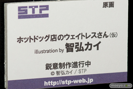 ワンダーフェスティバル 2018［夏］　スカイチューブプレミアム　STP33