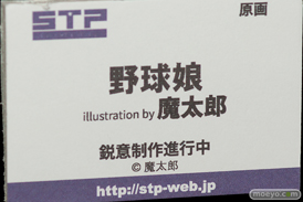 ワンダーフェスティバル 2018［夏］　スカイチューブプレミアム　STP37