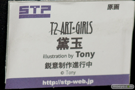 ワンダーフェスティバル 2018［夏］　スカイチューブプレミアム　STP39