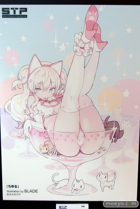 ワンダーフェスティバル 2018［夏］　スカイチューブプレミアム　STP40